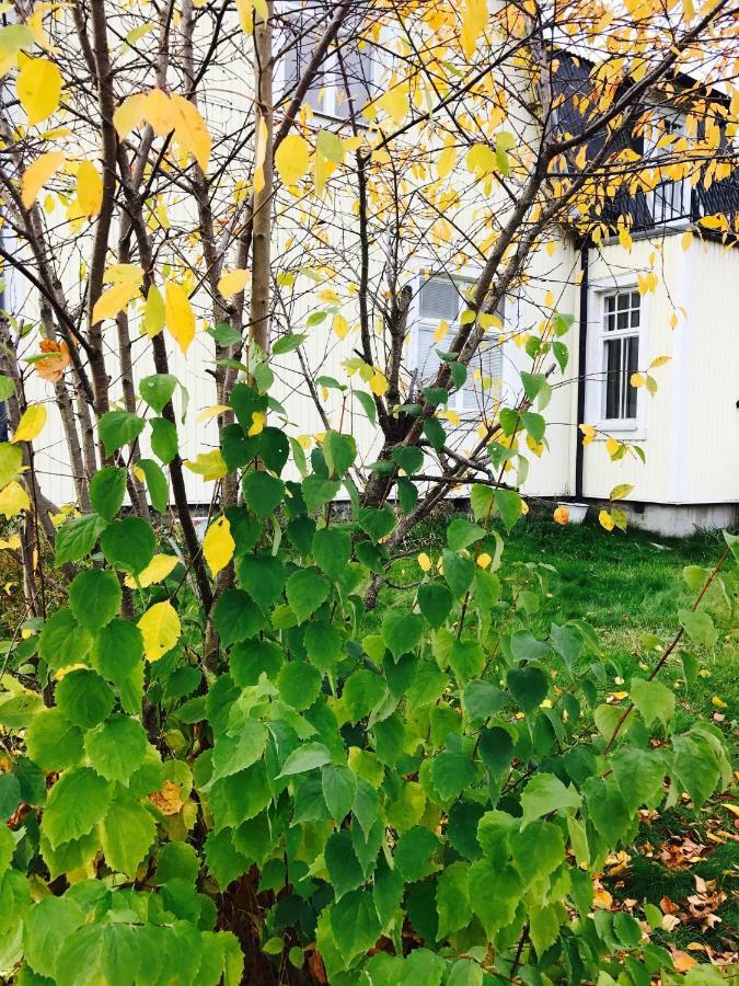 Parkgatan Villa Krylbo Eksteriør bilde