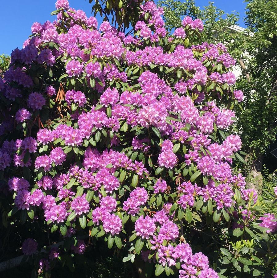 Parkgatan Villa Krylbo Eksteriør bilde